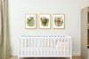 Wild Beasts Art Print, Framed (12" x 16")