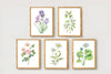 Watercolor Florals Art Print, Framed (12" x 16")