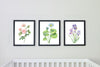 Watercolor Florals Art Print, Framed (12" x 16")