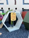 Hexagon Propagation Station