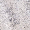 Abstract Area Rug Mero Artful Colors in Beige Grey